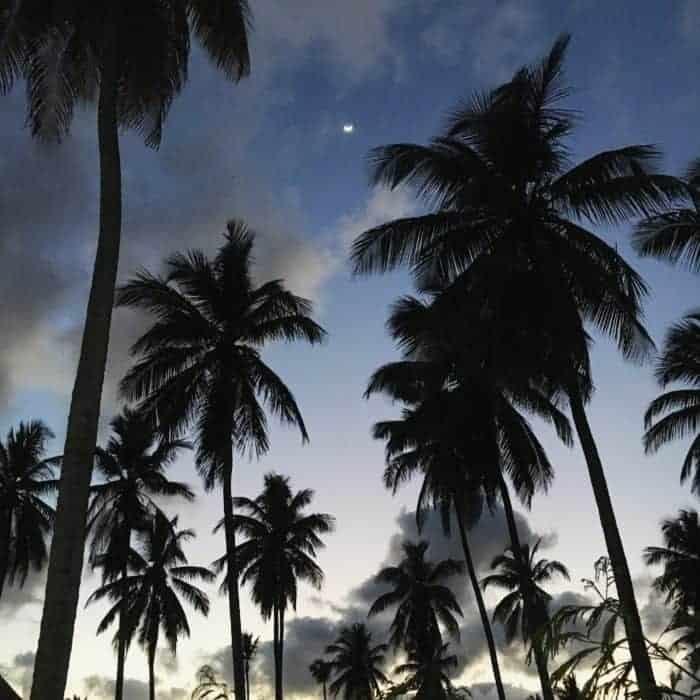 Punta Cana with kids