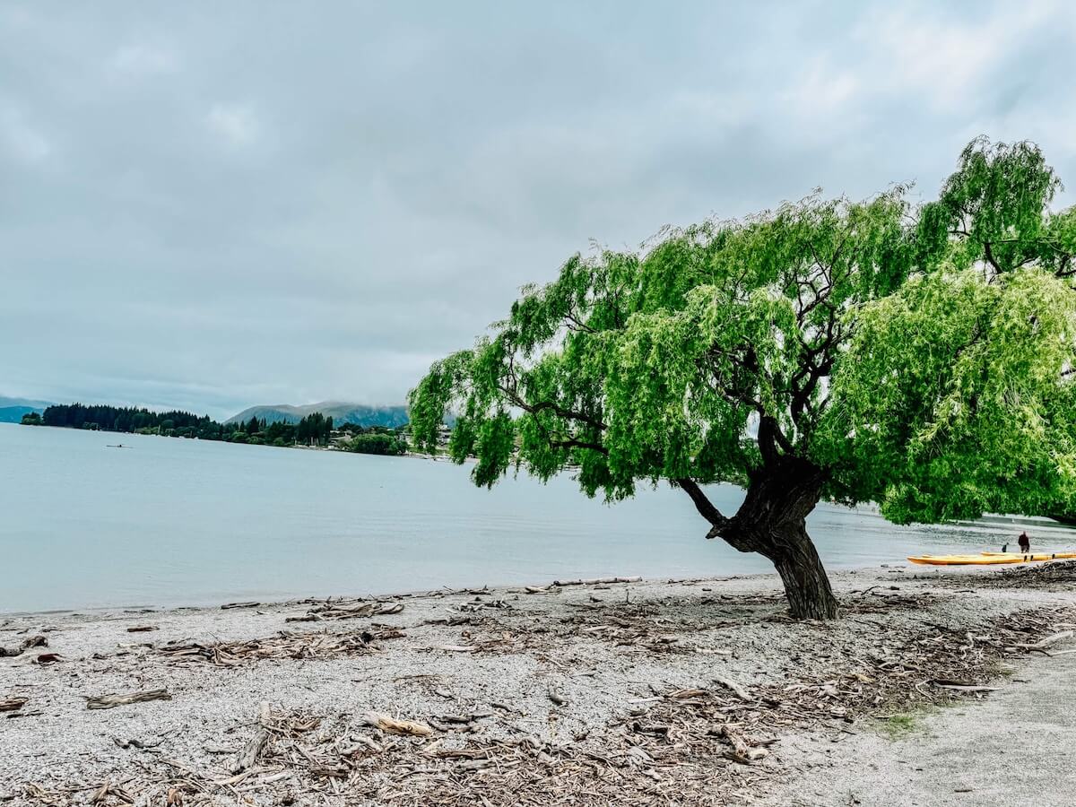 wanaka lake.