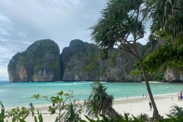 maya bay in phi phi islands.