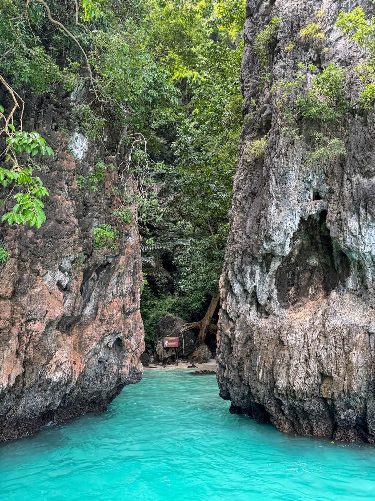 monkey beach entrance.