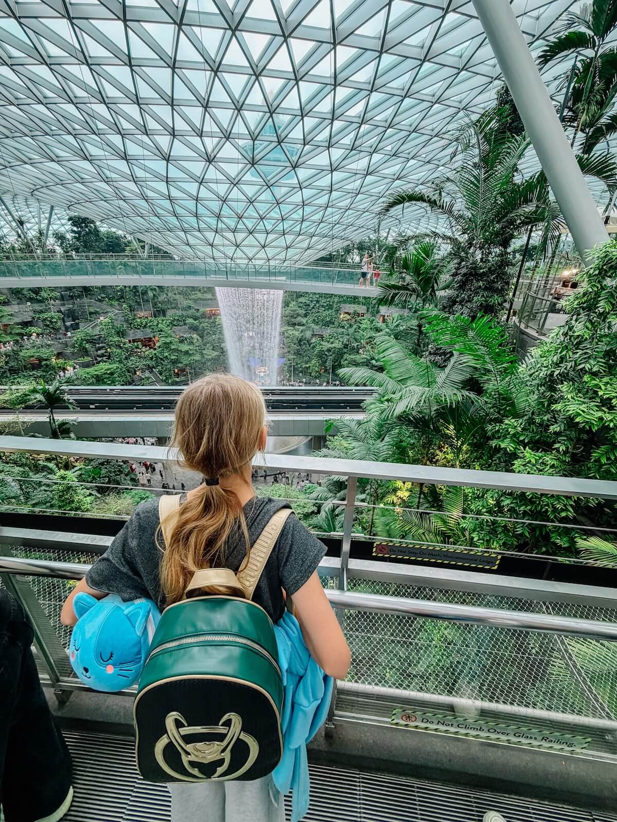 changi airport rain vortex.