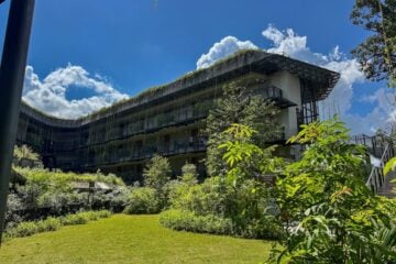 mandai rainforest resort.