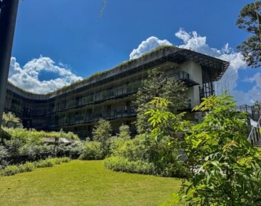mandai rainforest resort.