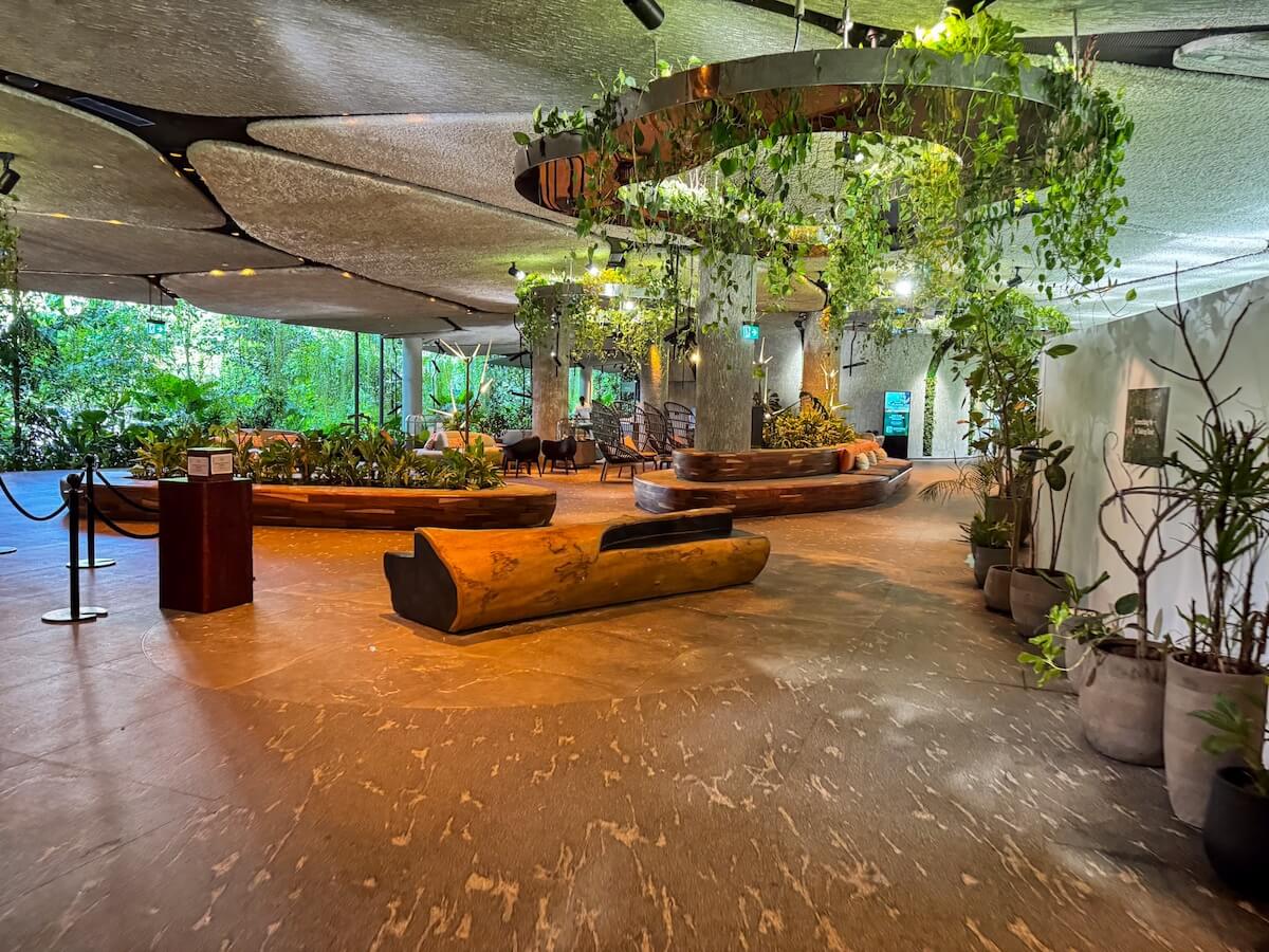 reception area of mandai rainforest resort.