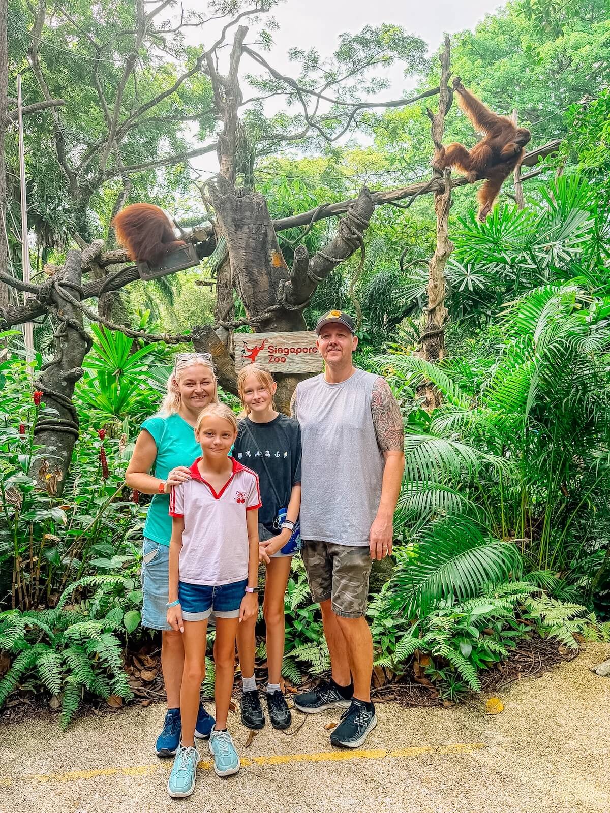 the connors family at breakfast in the wild at mandai zoo.