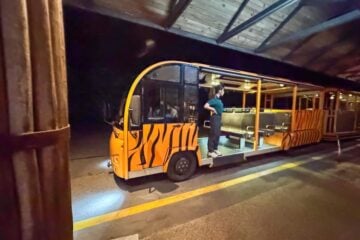 night safari singapore tram.