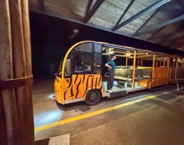 night safari singapore tram.