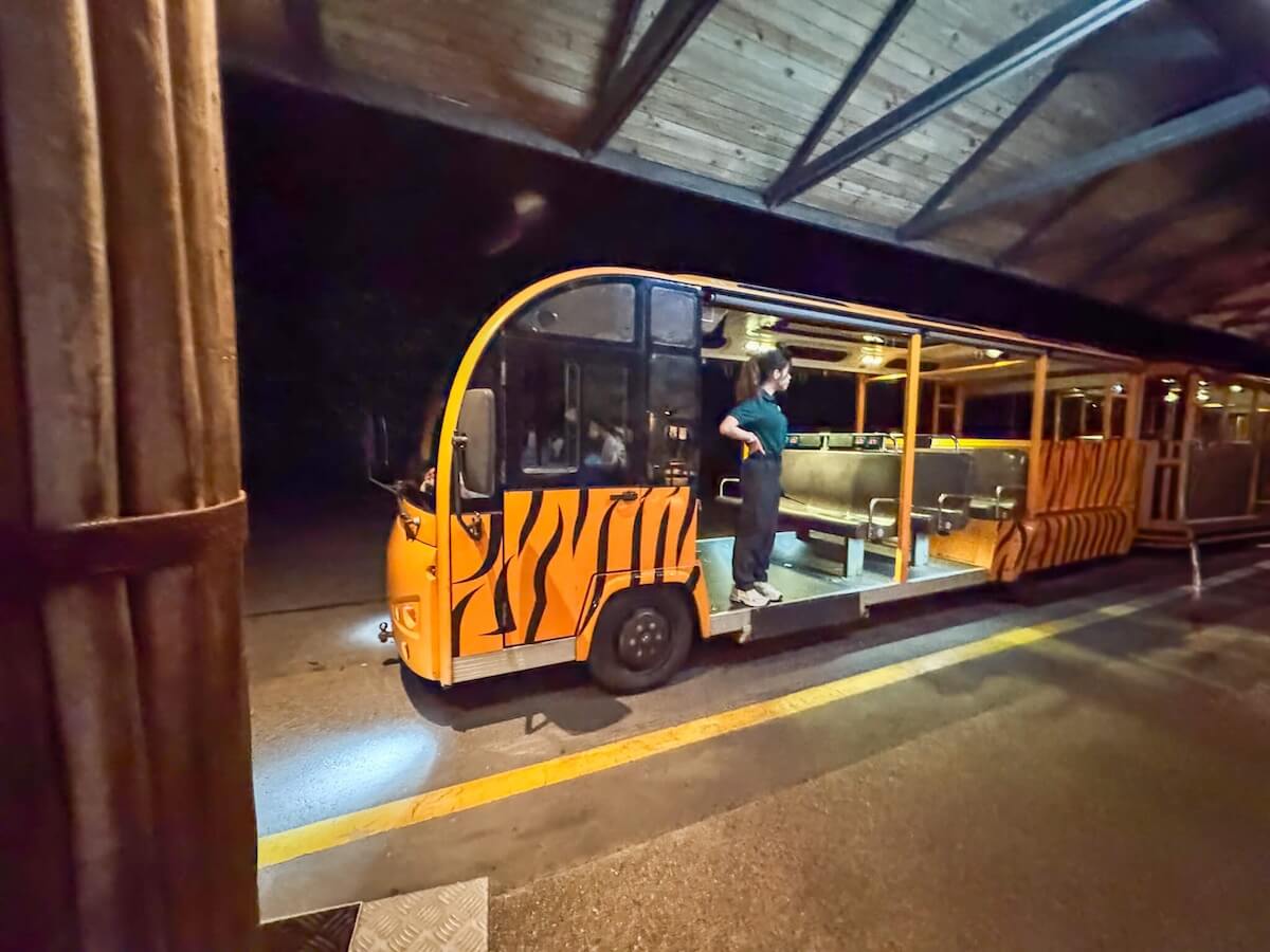 night safari singapore tram.
