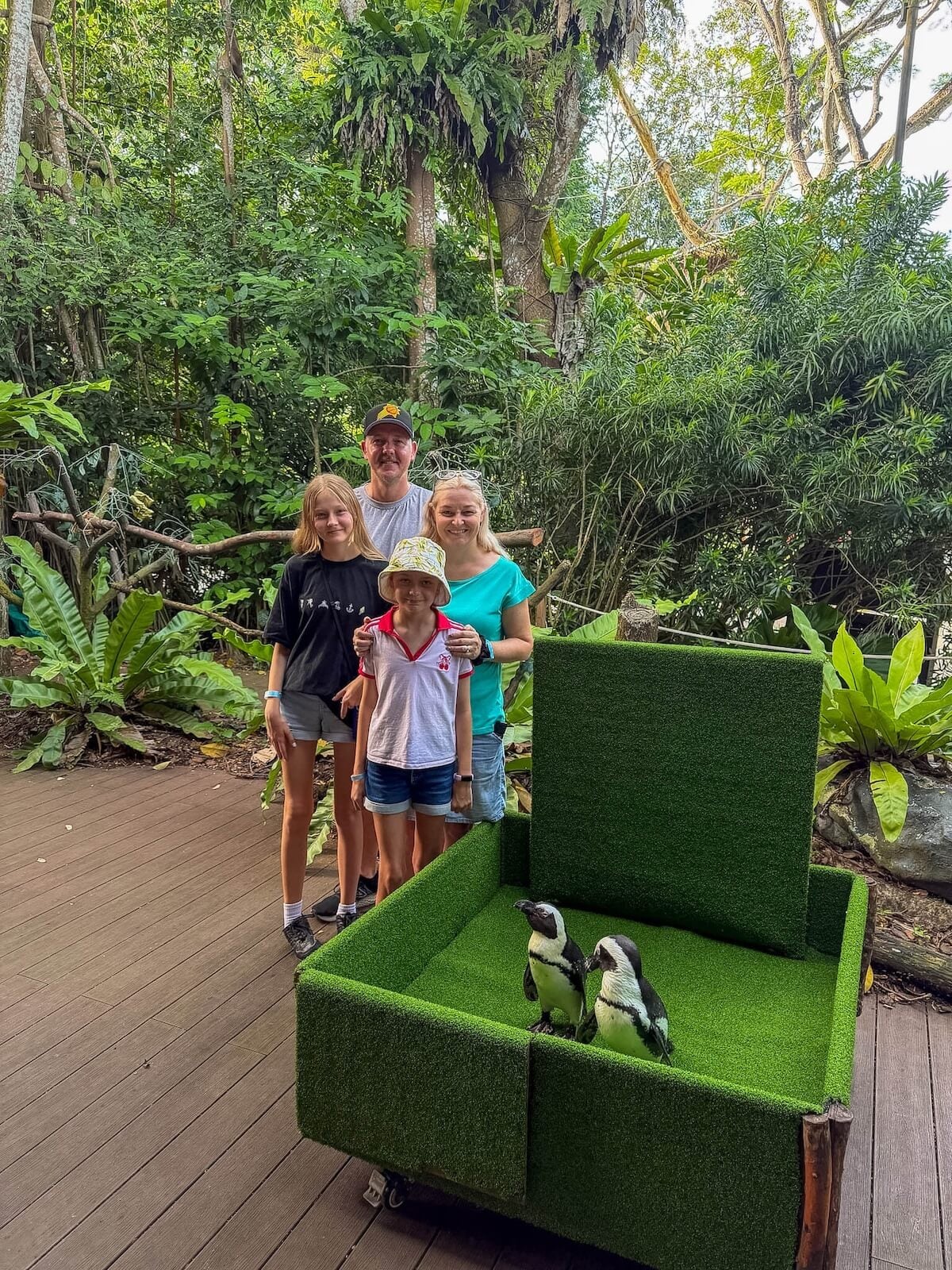 penguin encounter.