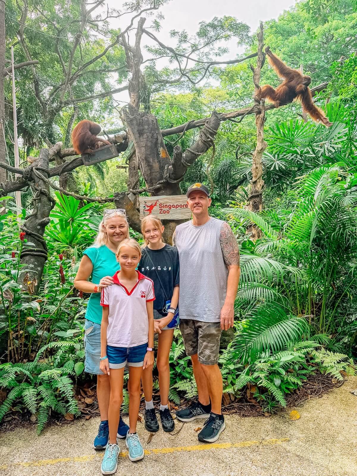 family at breakfast in the wild singapore zoo.