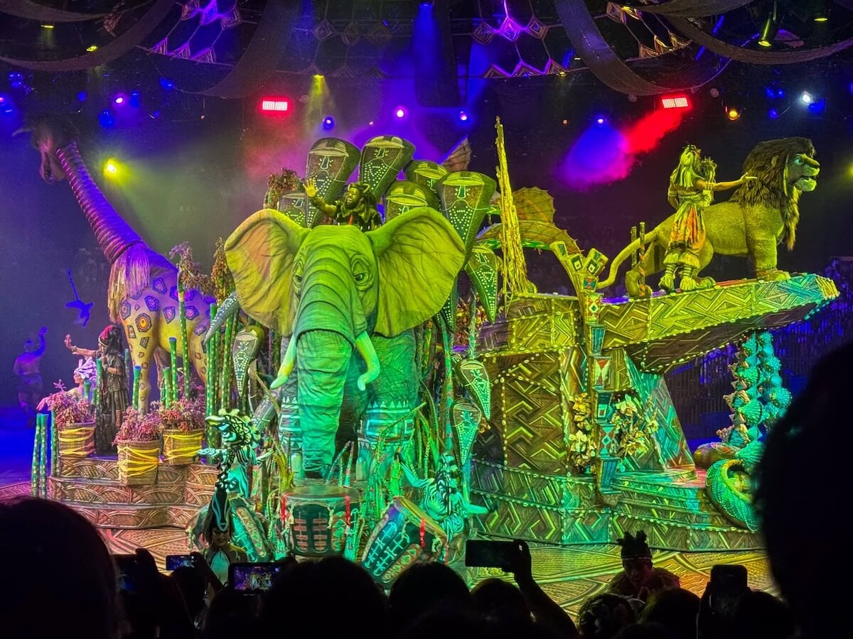 lion king show.