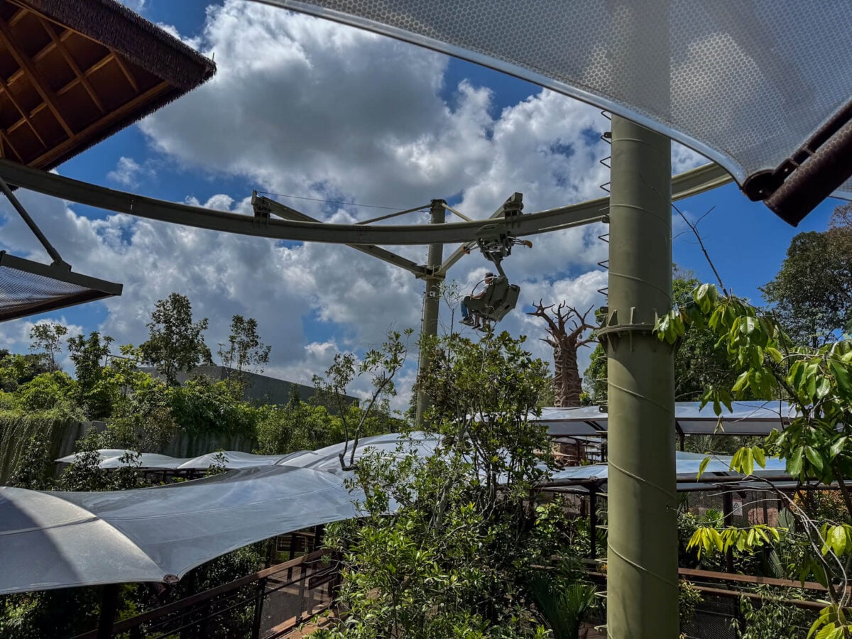 canopy glider ride at singapore zoo.
