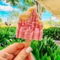 coconut castle ice cream.