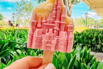 coconut castle ice cream.